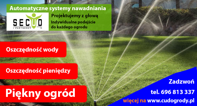 Automatyczne nawodnienie trawnika, oszczędność wody w system nawodnienia.