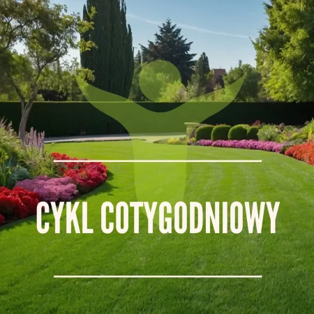 Cykl cotygodniowy