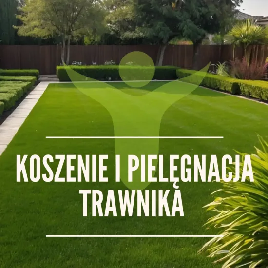 Koszenie i pielęgnacja trawnika