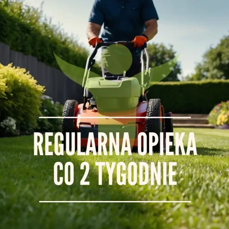 Regularna opieka co 2 tygodnia