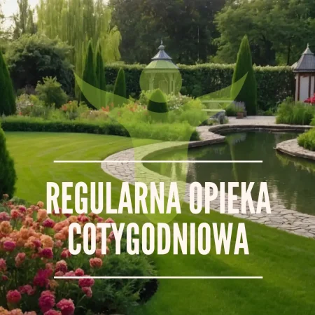 Regularna opieka cotygodniowa