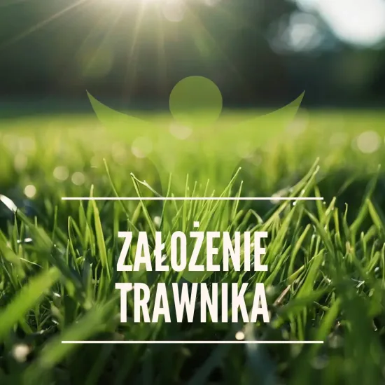 Założenie trawnika